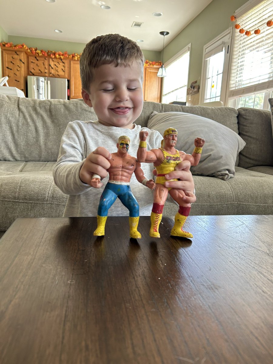 svg201's tweet photo. Brought all my figures from my parents house from New Jersey back to SC!  These are two of my favorites.  My son is the coolest kid around now!  
@TheMattCardona @davidlagreca1 @HulkHogan @sting #WCW @WWE https://t.co/4pmZTfFQOx