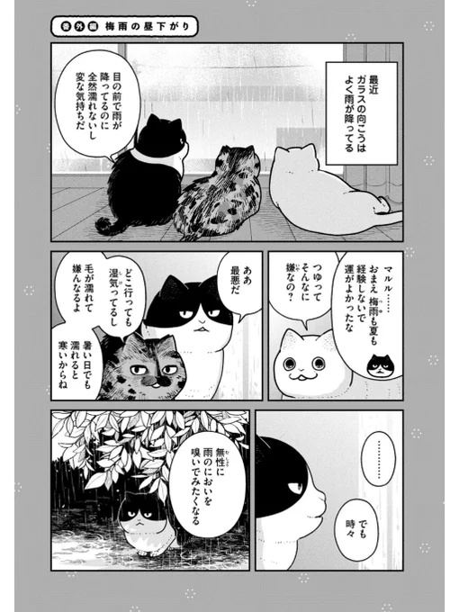 猫たちの昼下がり #ツレ猫マルルとハチ #マルルとハチ #漫画が読めるハッシュタグ