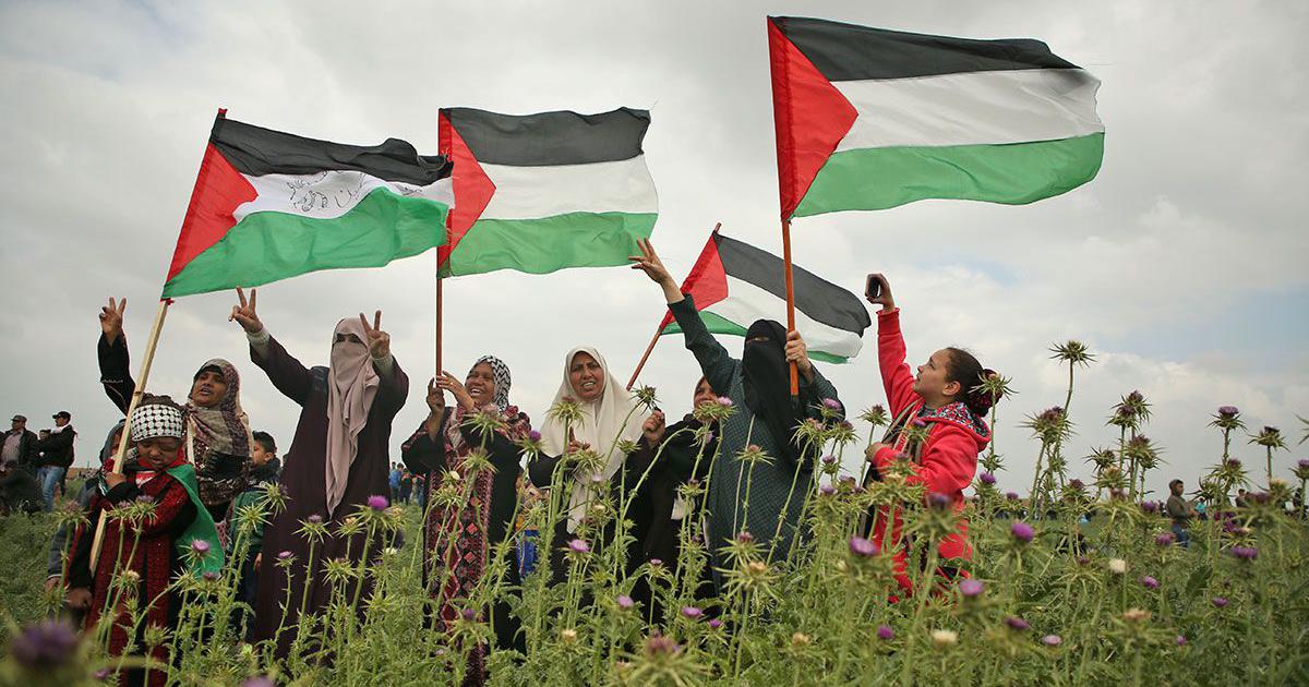 #PalestineResists #PalestinaLibre