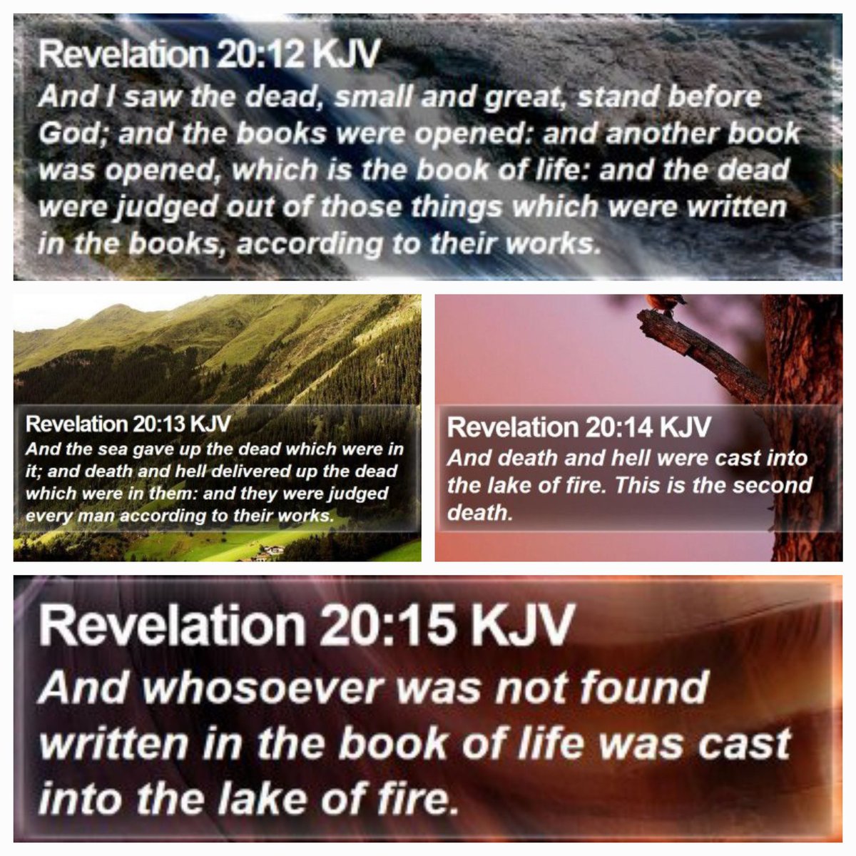 Clovis198729's tweet image. #PART13