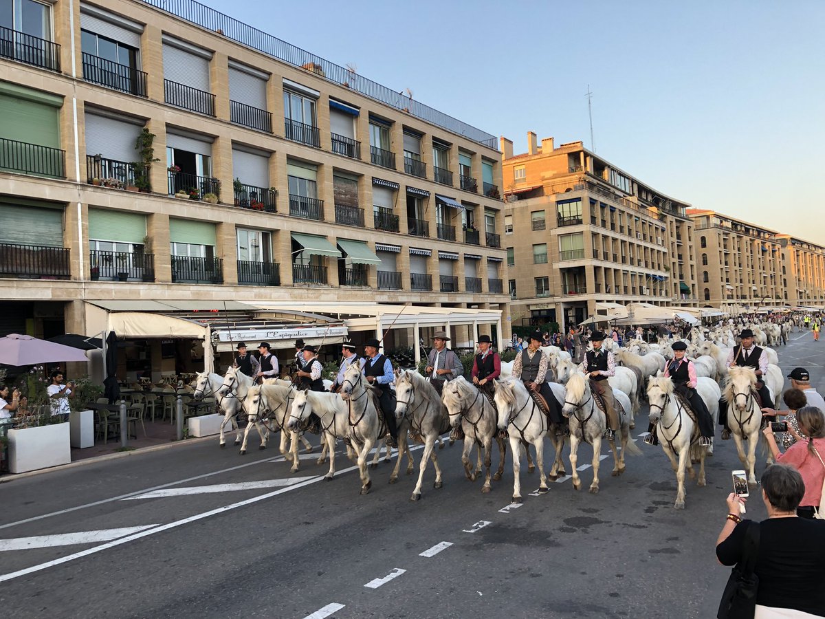 Gometmedia's tweet photo. [Tout chaud] Quel bel hommage des gardians de Camargue à la @fiestadessuds et son co-fondateur Bernard Aubert 🙏 #Marseille #bodega 🤩💃 https://t.co/qTvfkz2Pix