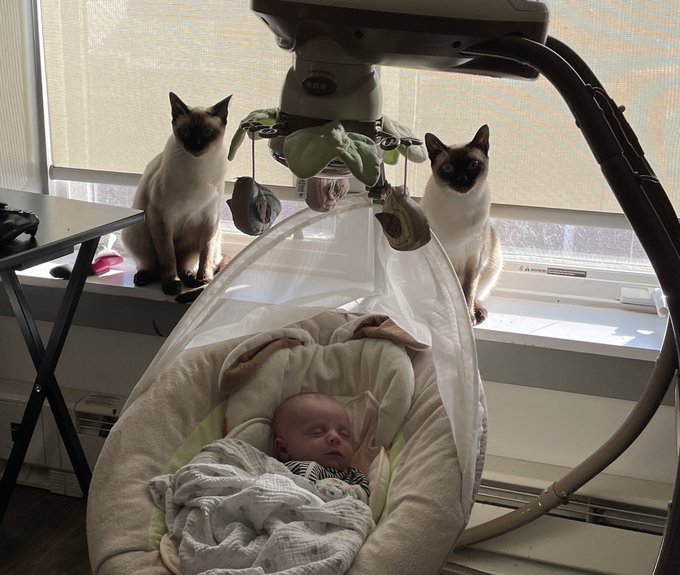 Guardians. https://t.co/U3XvhRNE0c<a href="/tag/newprofilepic"class="tags"><span>#newprofilepic</span></a>