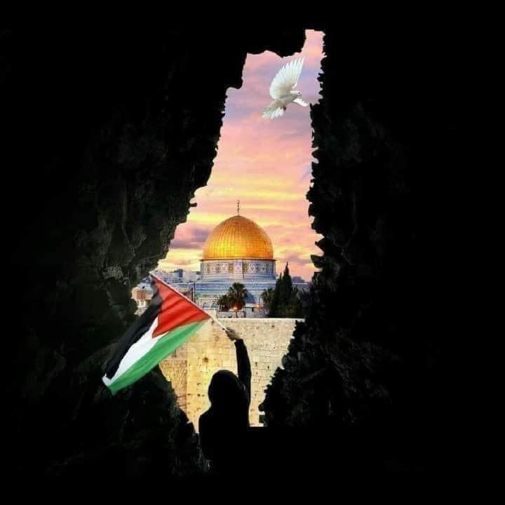 كونوا على وضوء فالصلاة في القدس باتت قريبة جداً 🇵🇸❤️