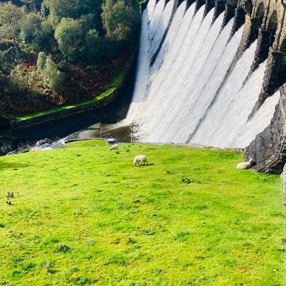 mancoedvm's tweet image. 📢  𝐒𝐀𝐓𝐔𝐑𝐃𝐀𝐘 𝐒𝐇𝐎𝐔𝐓 𝐎𝐔𝐓 to our Grounds Maintenance teams making this dam in Elan Valley look incredible! What a view. ☀️ ⛰️ 

#dams #elanvalley #elanvalleydam #dammaintenance #groundsmaintenance