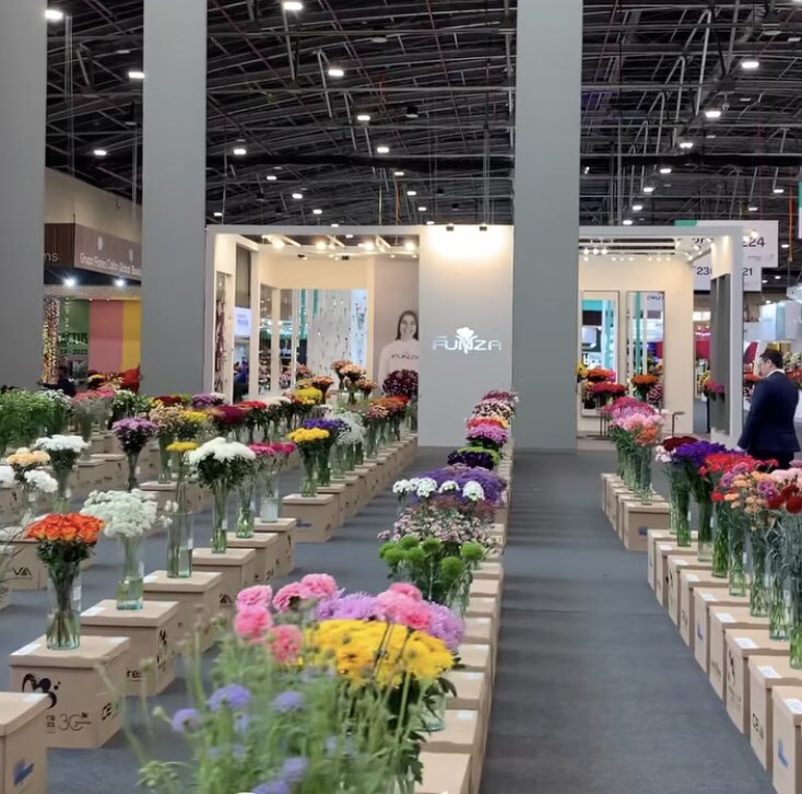 Finalizó Proflora 2023, con una gran acogida internacional y una excelente muestra de oferta floral Colombian 🇨🇴🇨🇴🇨🇴. Felicitaciones @Proflora, @asocolflores y a cada uno de sus participantes. 
.
#FlowersOfColombia
#DiversityThatInspires.