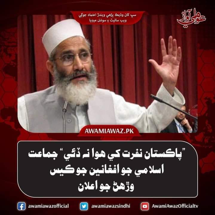 SialRabail2's tweet photo. پاڪستاني مذهبي تنظيمن جي قيادت پٺاڻ آهي, ملو ڪهڙي به پارٽيء جو هجي پر افغانين جو حمايتي هوندو.
~ ڊاڪٽر برڪت

#DeportIllegalImmigrants https://t.co/qVd277whVq