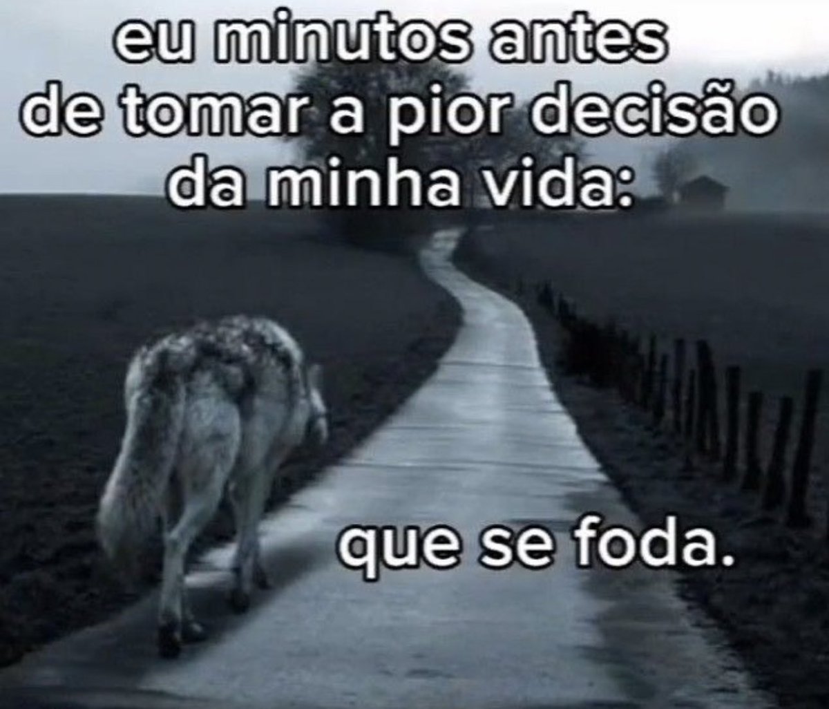 shitpostverdade's tweet photo. https://t.co/ELQbymZdHF
