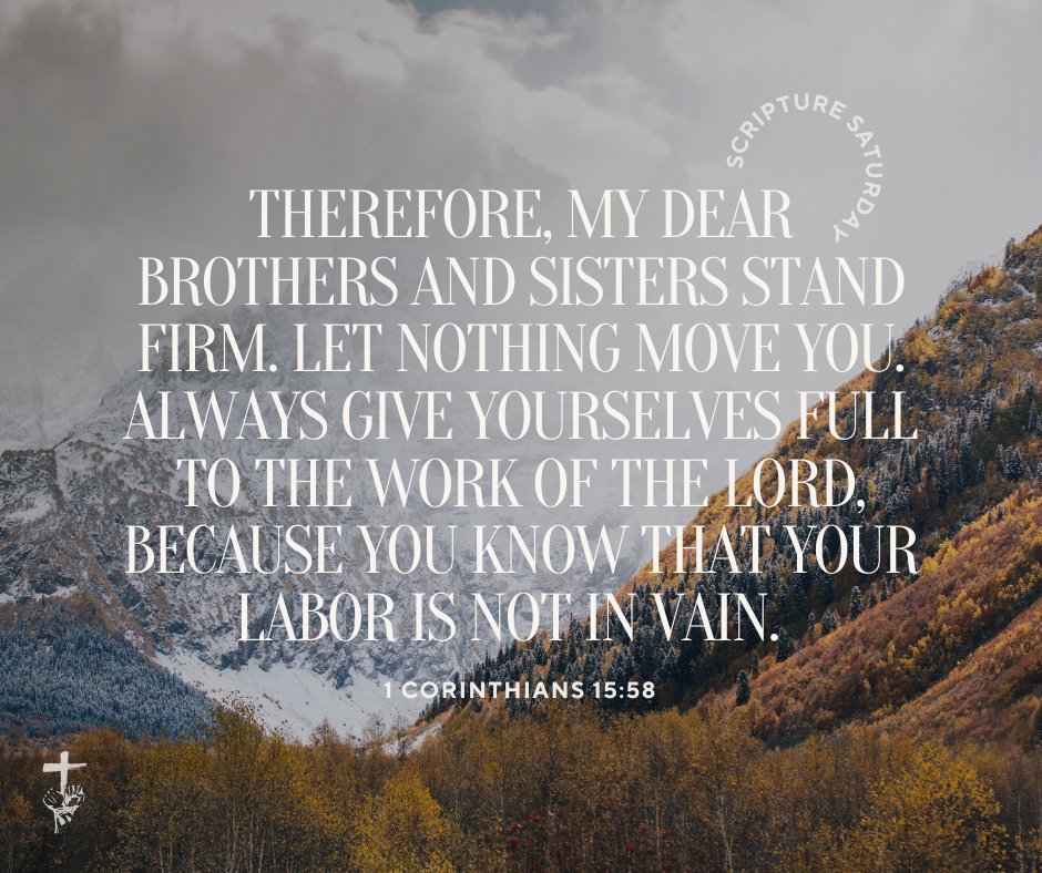 persecutionnews's tweet image. Corinthians 15:58 reminds us to stand firm, be steadfast, and always work for the Lord. #scripturesaturday