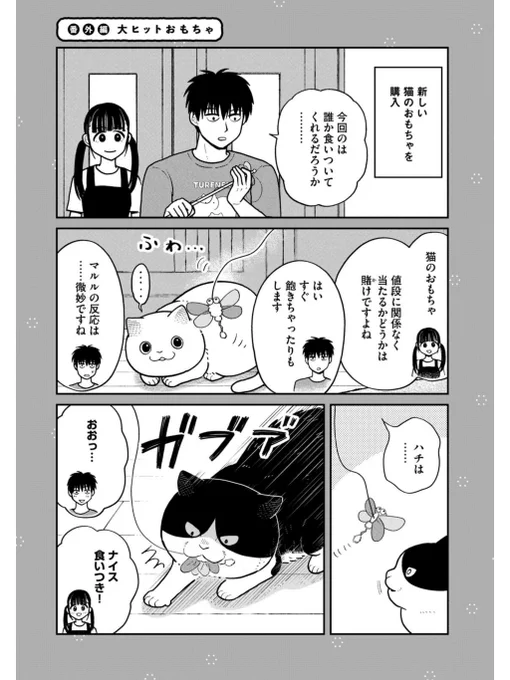 猫の大ヒットおもちゃ
#ツレ猫マルルとハチ #マルルとハチ #漫画が読めるハッシュタグ 