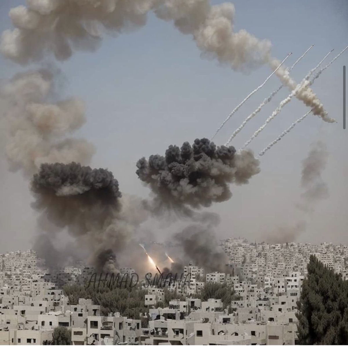 النصر لفلسطين الجريحة