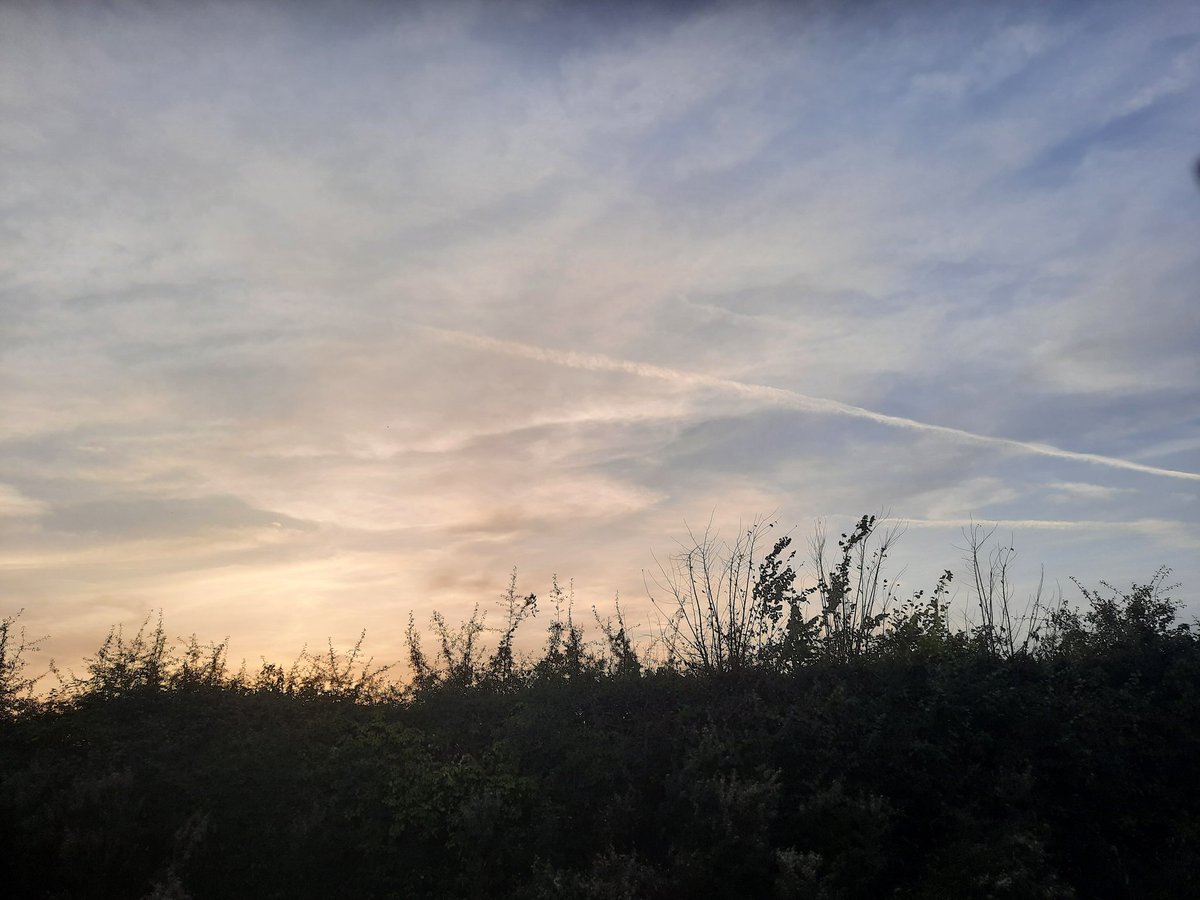 thom_crabbe's tweet photo. Letters out in Cranfield today for @alistrathern and @MidBedsLabour. Only one sign and a glorious sky. https://t.co/VMOxofwxNB