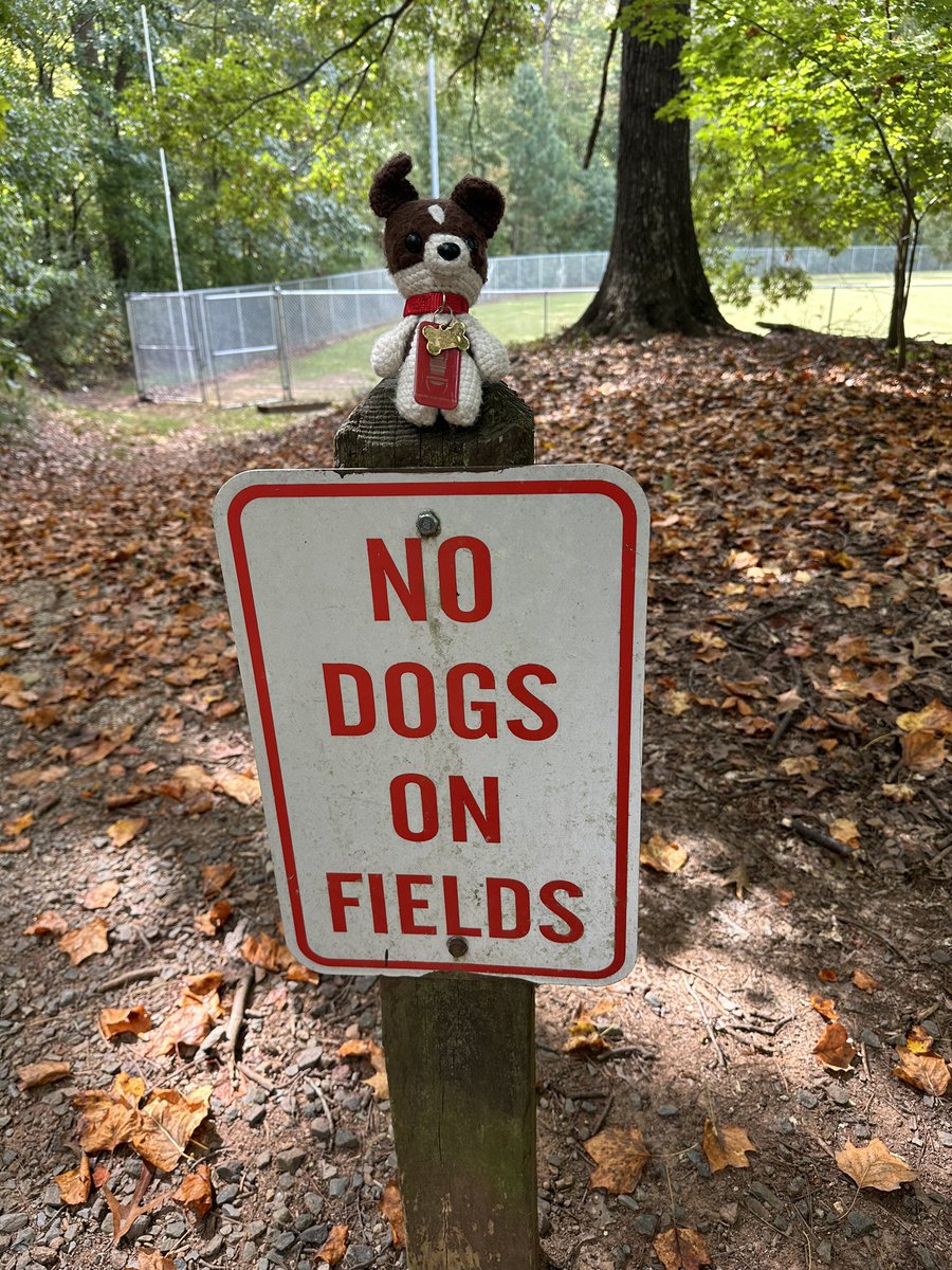 Rileytherussell's tweet image. Went #geocaching yesterday! Too bad I couldn’t go on the fields 😅😆 luckily for me the caches were hidden deep in the woods #geocache #furry #cache #furries #fursona