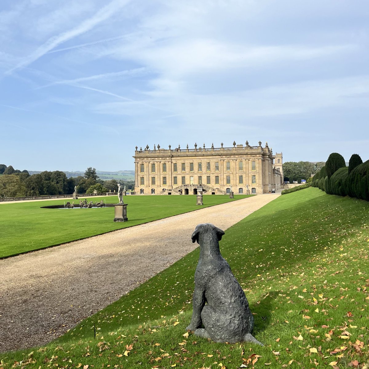 A beautiful sunshine walk @ChatsworthHouse to look for 🍄 #UKFungusDay 🍂🍃