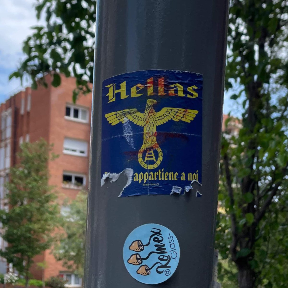🇮🇹 Hellas Verona FC 
@HellasVeronaFC @BRHellasVerona @HellasVeronaNYC @bassy90football 
#DaiVerona #HVFC 
#ultrasstickers #footballstickers #footballculture #Ultras #StickerHunting