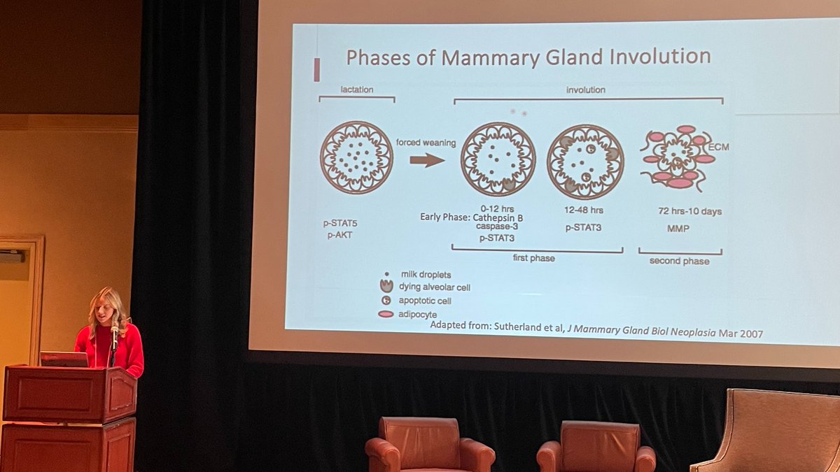 CU Anschutz Cancer Biology Graduate Program (@cucancerbio) on Twitter photo PhD Candidate Lauren Cozzens <a href="/LaurenCozzens/">Lauren Cozzens</a> in the <a href="/tracirlyons/">Traci Lyons</a> lab talking about SEMA7A mammary
gland involution and postpartum breast tumorigenesis. #CANB2023Retreat. PhD Candidate Lauren Cozzens <a href="/LaurenCozzens/">Lauren Cozzens</a> in the <a href="/tracirlyons/">Traci Lyons</a> lab talking about SEMA7A mammary
gland involution and postpartum breast tumorigenesis. #CANB2023Retreat.