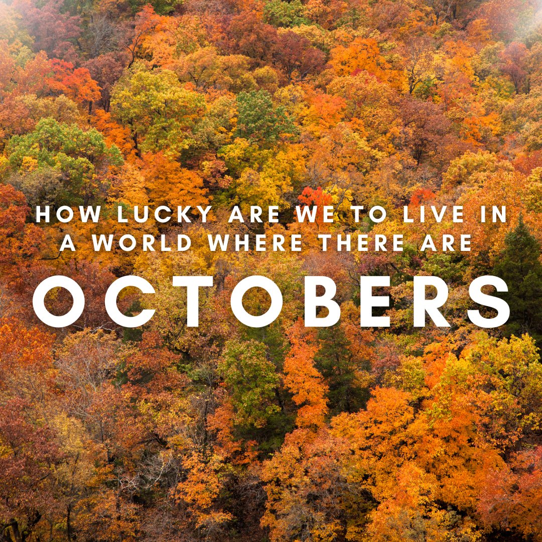 To paraphrase a certain Anne of Green Gables...