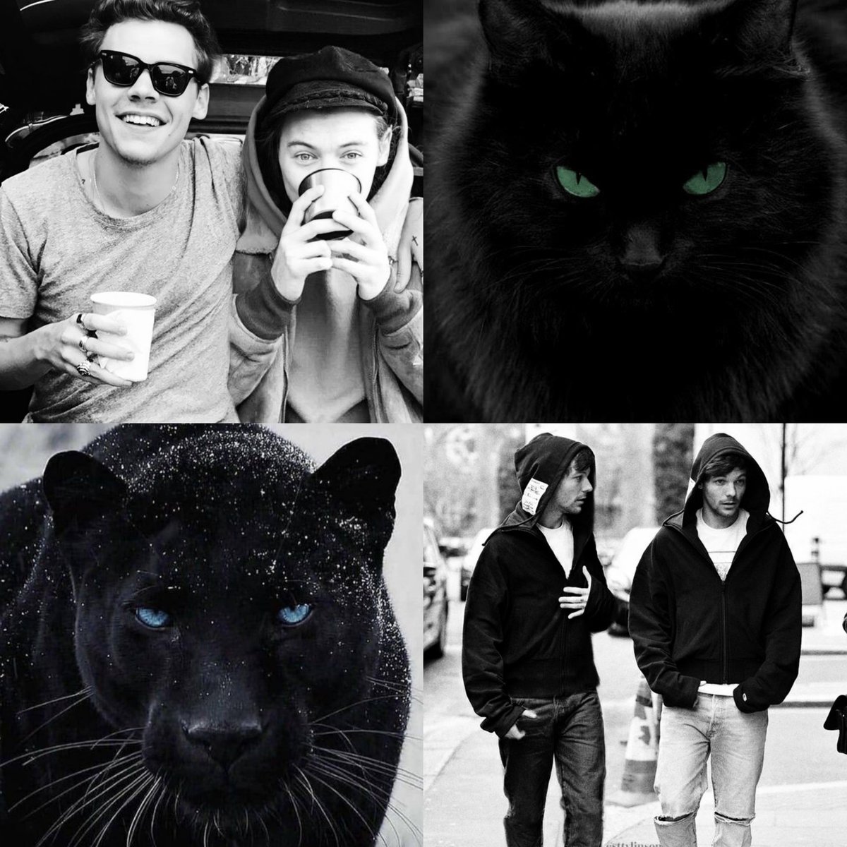louixlv99's tweet photo. Mini OS Larry | Twins

En un mundo de híbridos, todos nacen con su igual.

Donde Harry y Edward son dos gatitos completamente opuestos,

Donde Louis y William son dos panteras brutas. https://t.co/DMdHySqu0Z