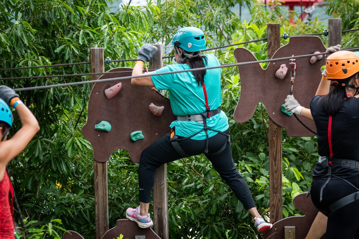 ¡Concéntrate! Podrás pasar cada divertido obstáculo de los circuitos #Xmonkey 🐵

#XtaseaPark #Acapulco