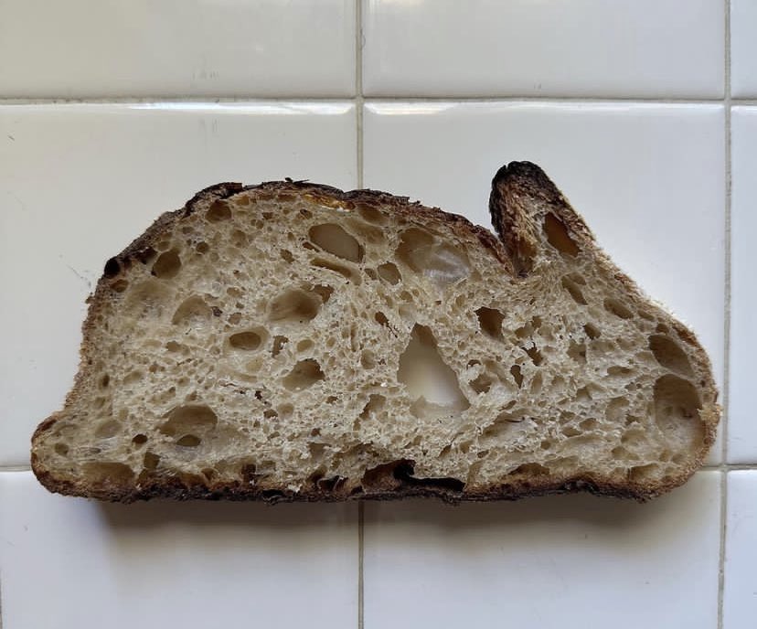 mielgirltwt's tweet photo. bunny bread https://t.co/qOrPjKnWoz