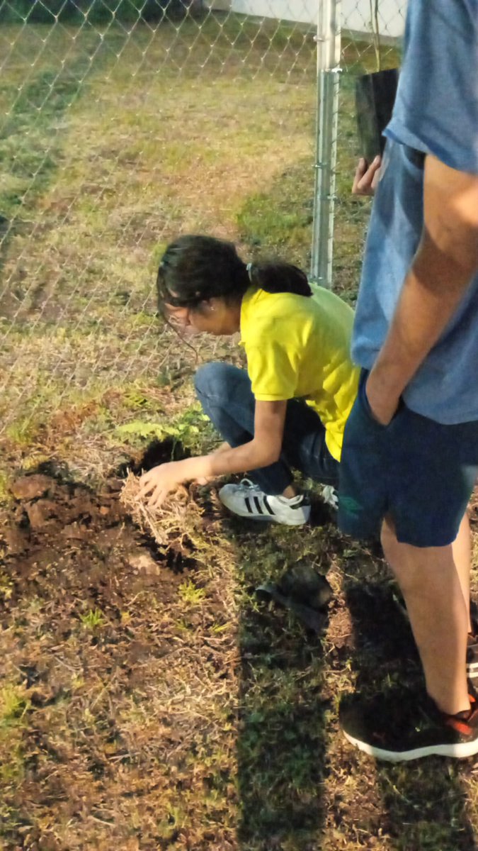 LisSalasQro's tweet photo. Con mis amiguitos de la Colonia el Pedregal, gracias por sumarse...🌳 #Reforestacion #vecinos #mediambiente #Querétaro #LisSalas #Atusordenes ⚜️ https://t.co/ODGK84iXFw