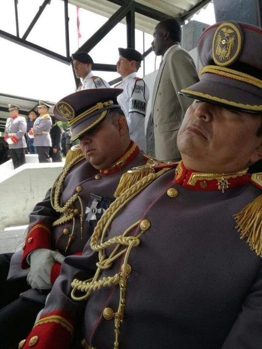 PerroNoyNo's tweet photo. @OscarAyerve @DanielNoboaOk Los Generales de @FFAAECUADOR defendiendo la patria contra la mafia Albanesa y los cunados de @LassoGuillermo https://t.co/6wp9ZhuMZ5