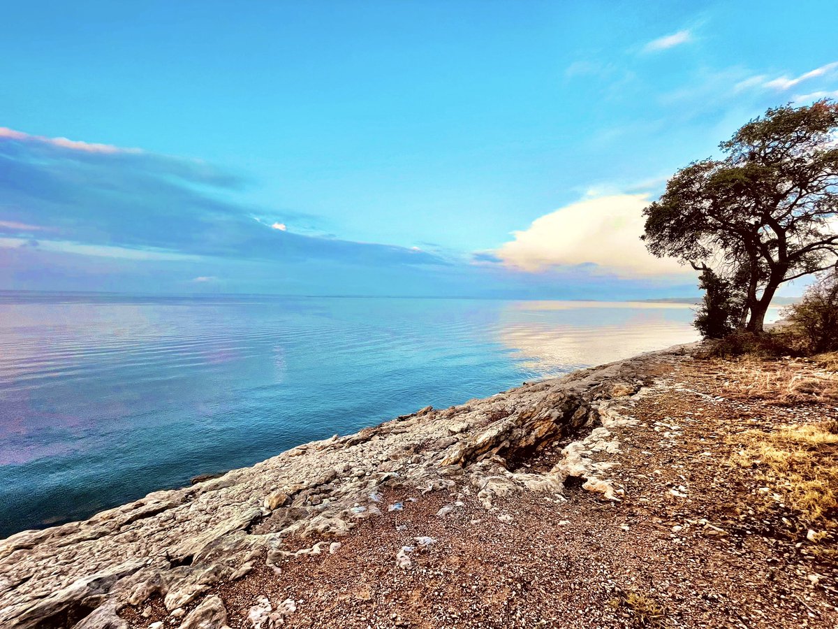 May your day be filled with joy and inner peace. 🌷

#WritingCommunity #5amwritersclub #inspiration