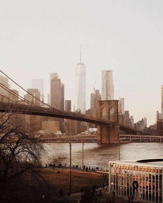 NostAcademia's tweet photo. Autumn in New York🍂 It's cosy weather! https://t.co/JSM65JGqWP