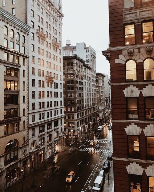 NostAcademia's tweet photo. Autumn in New York🍂 It's cosy weather! https://t.co/JSM65JGqWP