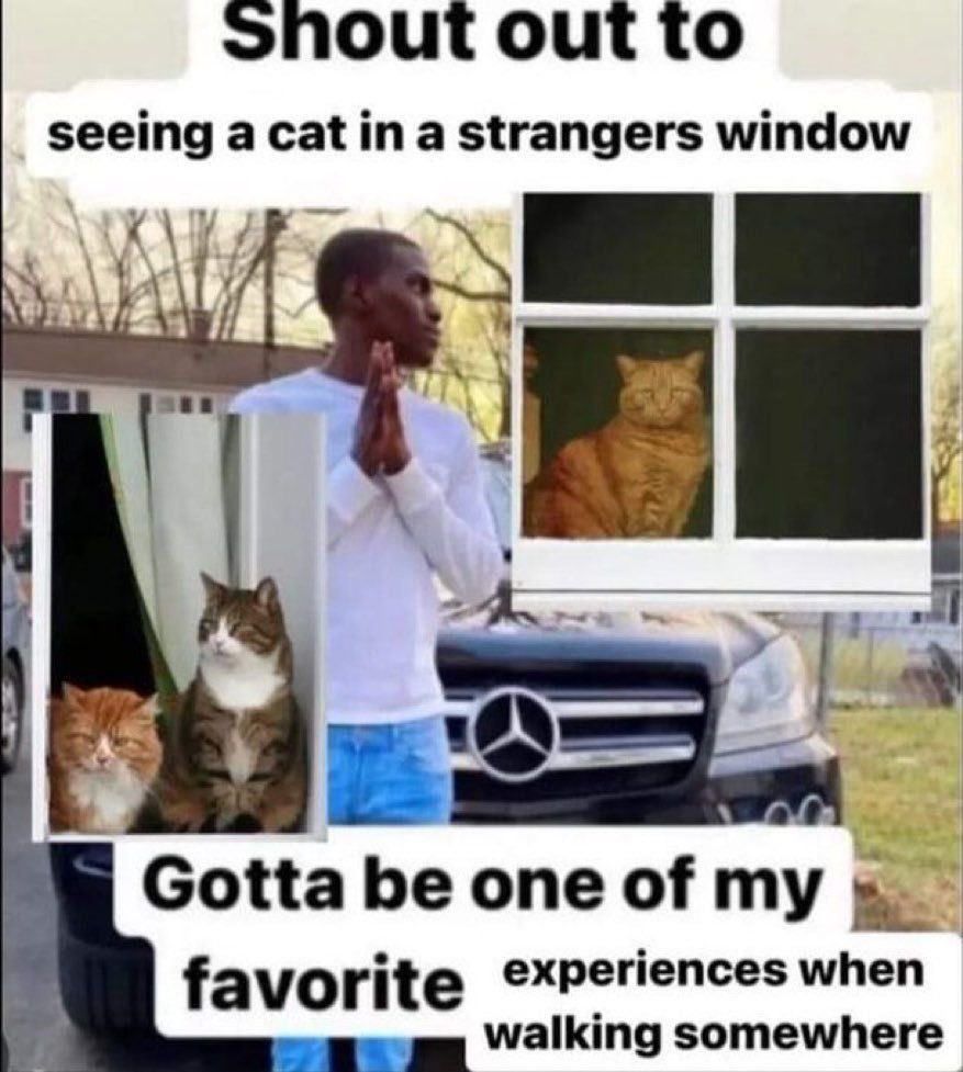 RespectfulMemes's tweet photo. https://t.co/qf1iksdzTn