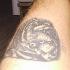 paracomentar77's tweet photo. o fandom só tem duas curiosidades 

1. Qual será o belo motivo para ter tatuado esse tigre 

2. Como será o pinguim do Louis https://t.co/0vpsXOG7x2