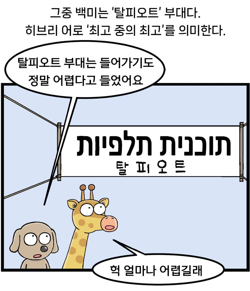 emanbae_webtoon's tweet image. 최고의 인재들이 군대가고싶어 환장한 나라는 어디?
탈피오트 프로그램(תוכנית תלפיות)이라고 함 심비오트 아님

#군면제 #조기전역 #이스라엘 #탈피오트 #이만배