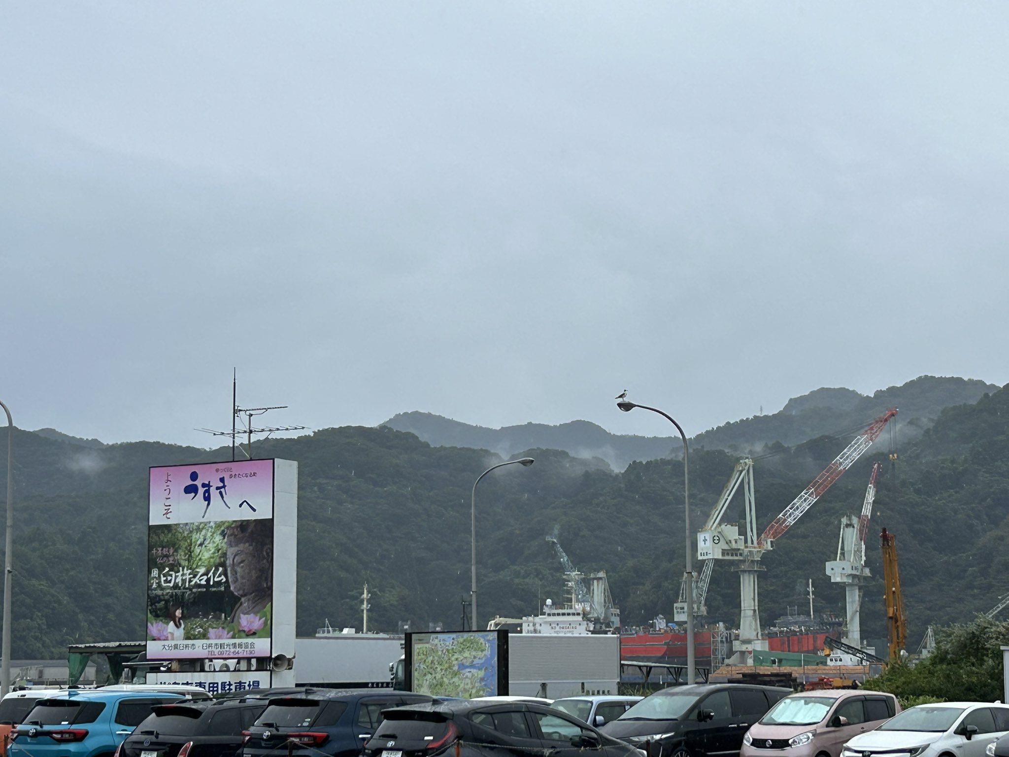 臼杵川を渡れば – Søg / X