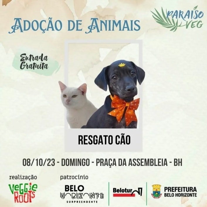 AGREGATOS_OFC's tweet photo. @opabichos

#adocao #adocão #adoção #adoçãoresponsável 
#gatos #bichanos #felinos 
#gateiros #pets #PetLover #PetsLovers
#cães #cachorros #catiorros #cachorreiros #BeloHorizonte #BH #MinasGerais #MG https://t.co/hKOTBBnV04