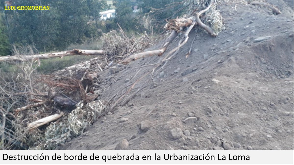 Repositorio Ilaló (@volcanilalo) on Twitter photo <a href="/pabelml/">Pabel Muñoz L.</a> :Destrucción de quebradas en #UrbanizaciónLaLoma. Solicitamos su inmediata intervención. Le responsabilizamos por la que pueda suceder. La constitución le provee las herramientas para proteger los ecosistemas. #IlalódePabel 141 #díasparabienoparamal <a href="/pabelml/">Pabel Muñoz L.</a> :Destrucción de quebradas en #UrbanizaciónLaLoma. Solicitamos su inmediata intervención. Le responsabilizamos por la que pueda suceder. La constitución le provee las herramientas para proteger los ecosistemas. #IlalódePabel 141 #díasparabienoparamal