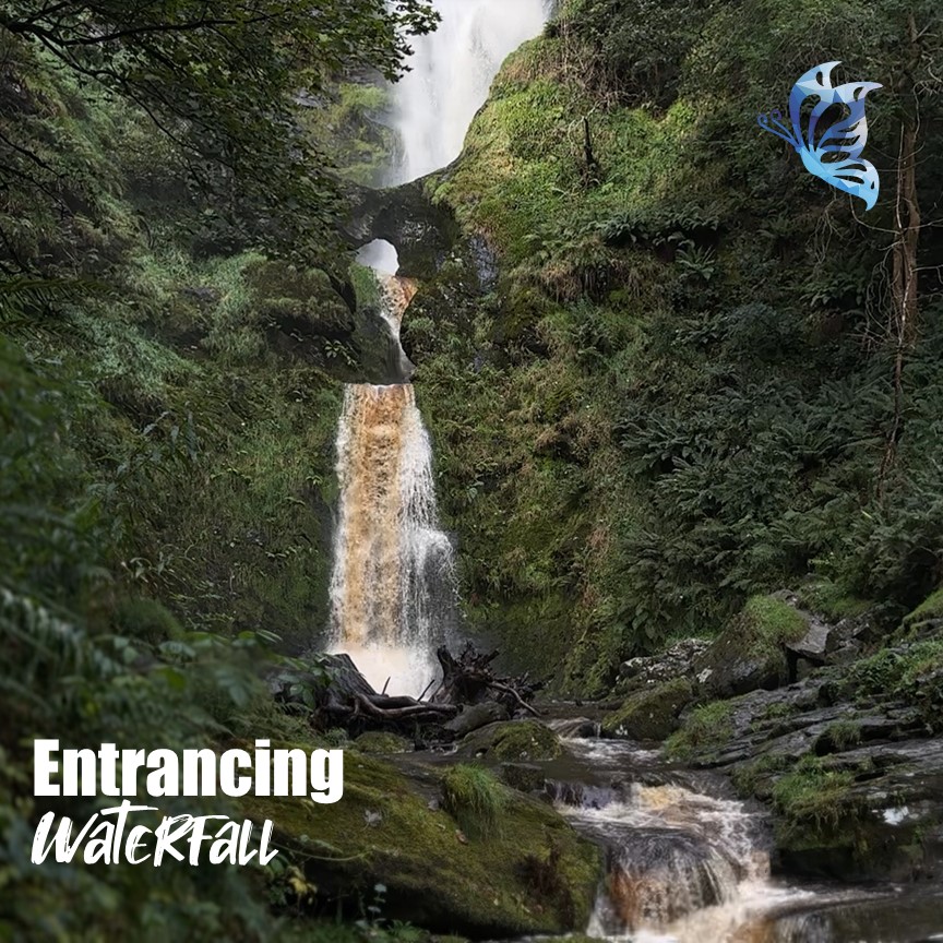 chilled_bf22's tweet image. Check out our new video premiering on youtube tomorrow at 7pm
#waterfall #entrancing #water #whoosh #brown #green #rock #fall #chilledbutterfly