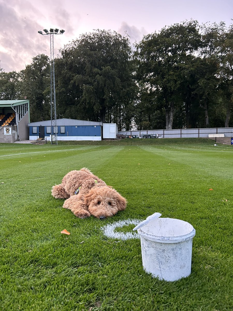 dylan7allan's tweet photo. Not as good as Henry lining the penalty spots🤦‍♂️ https://t.co/BlDt2ZD0yQ