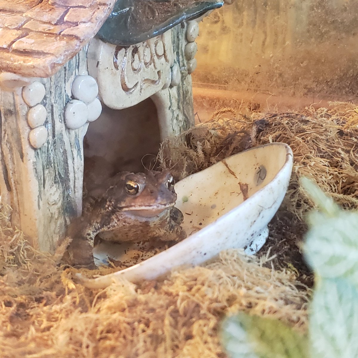 kelsey wailes🐳 (@eattoast3) / X