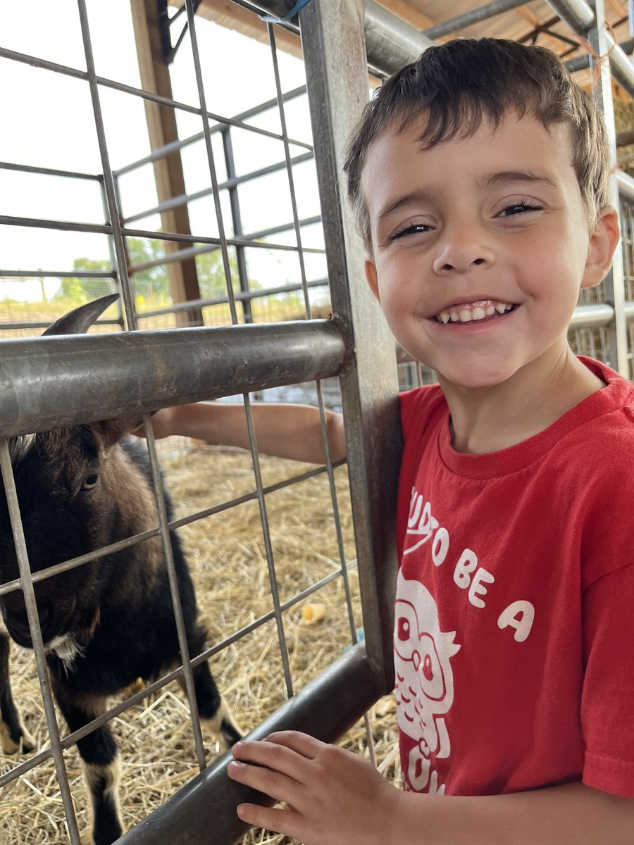 Abbi Davis tweet media