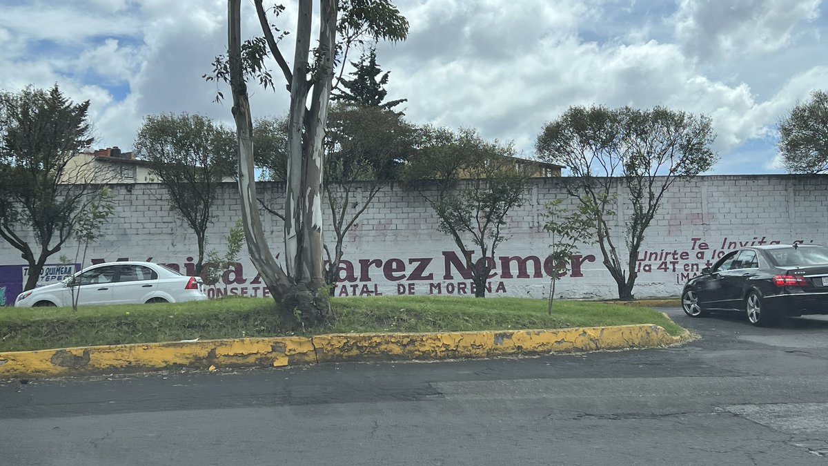 abrahamsierram's tweet photo. Se ve que la “nueva” democracia y el pueblo bueno apoya a diputada de Morena en #Toluca. Al puro estilo del priismo anquilosado, 20 bardas aparecen en la zona norte de la capital mexiquense. https://t.co/b1ecIL9X7v
