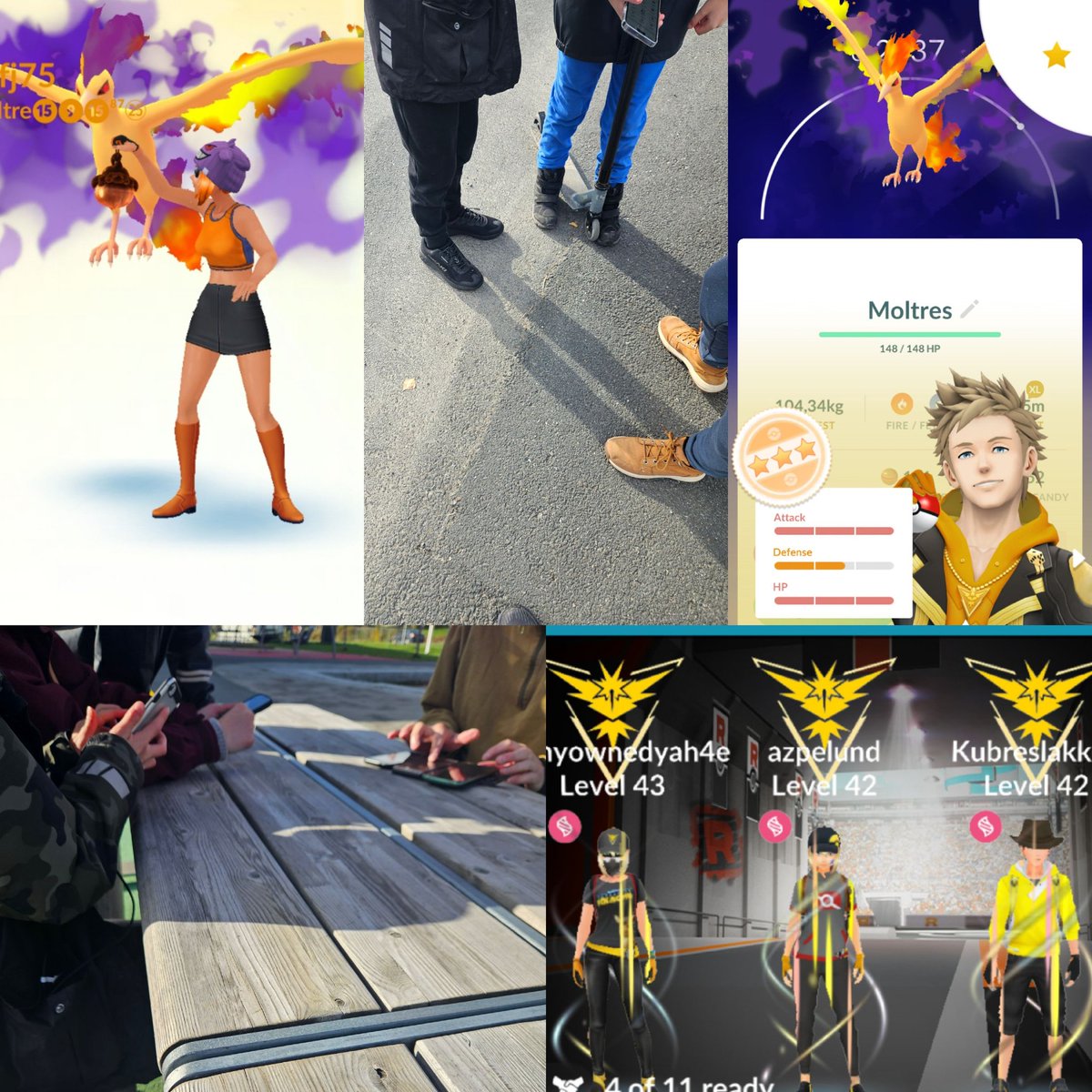 jenssen_lise's tweet image. Yellow local team is growing. #shadowraids #Guzzlordraids #PokemonGO