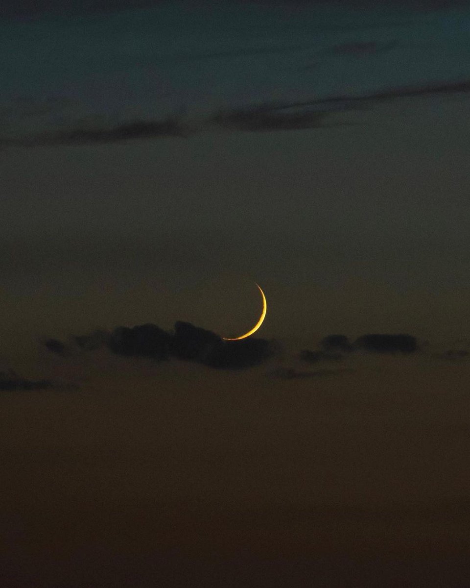 MOON tweet media