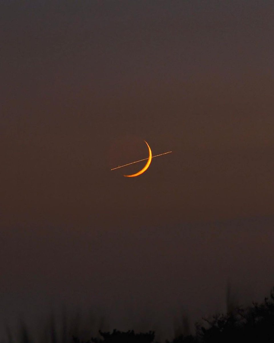 MOON tweet media