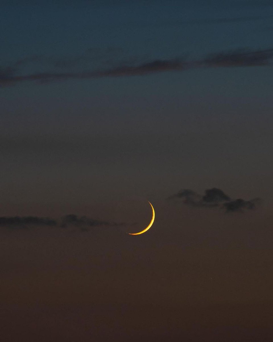 MOON tweet media