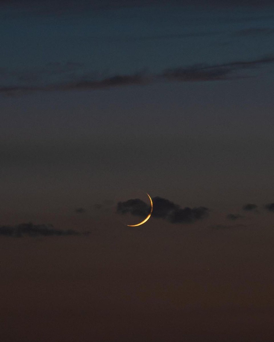 MOON tweet media