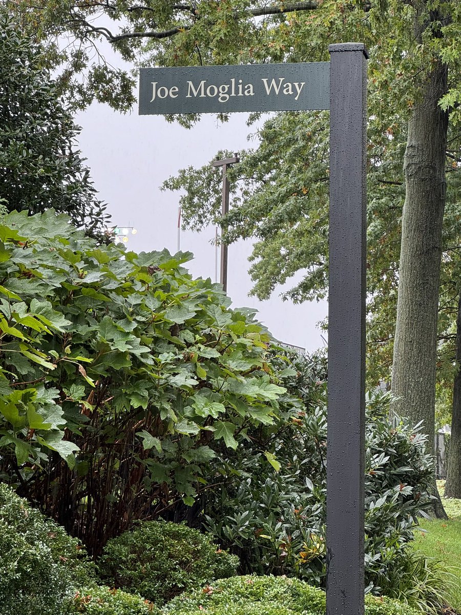 Fundamental Global® (@FGFundamental) / Posts / X