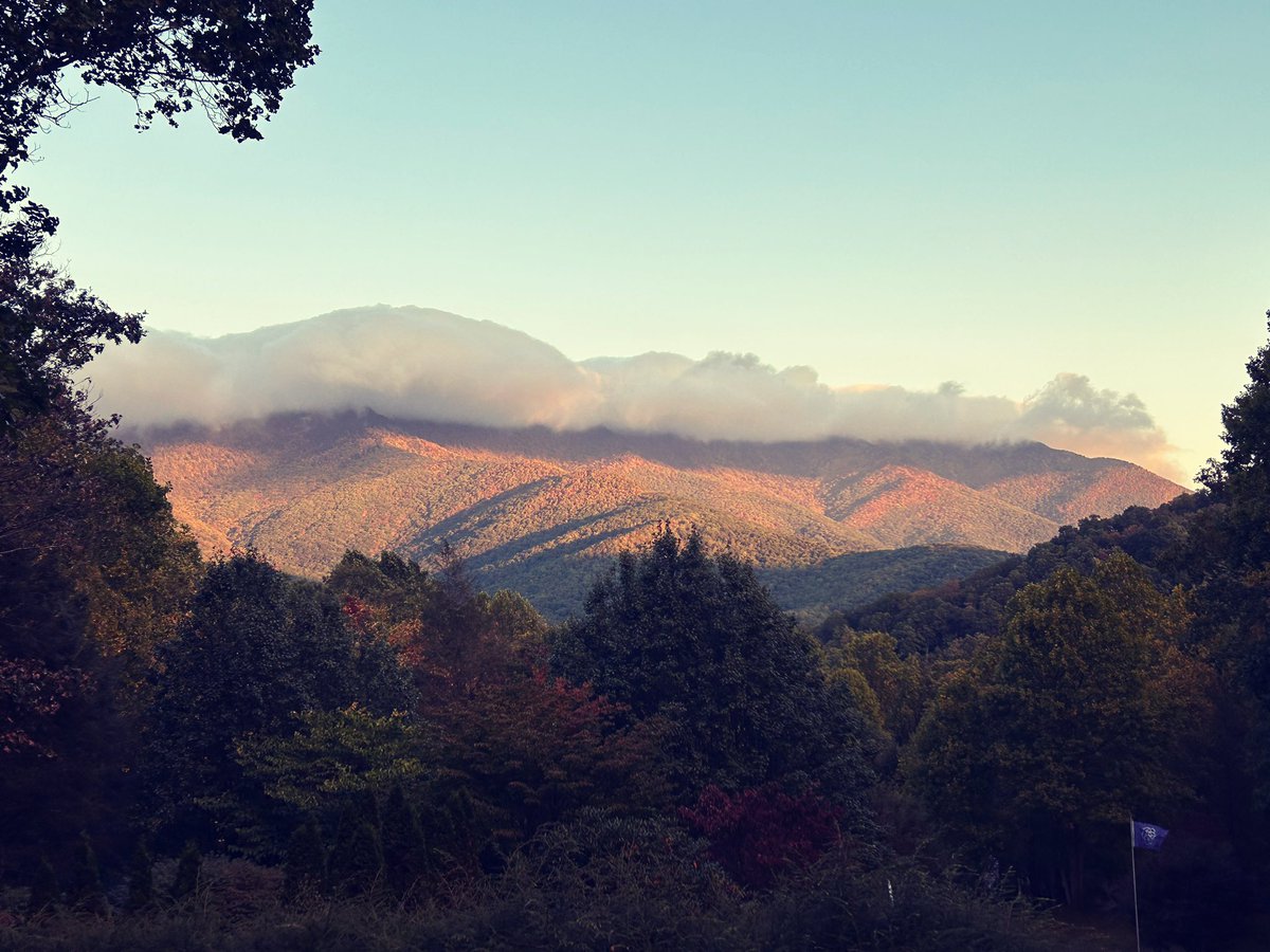 Emily West Horn tweet media