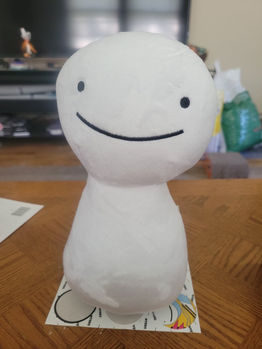 codegirl96's tweet image. He has arrived @Dream #dreamwastaken