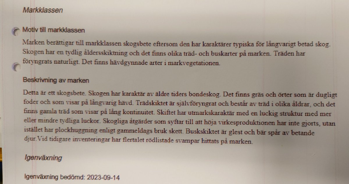 Anette Gustawson tweet media