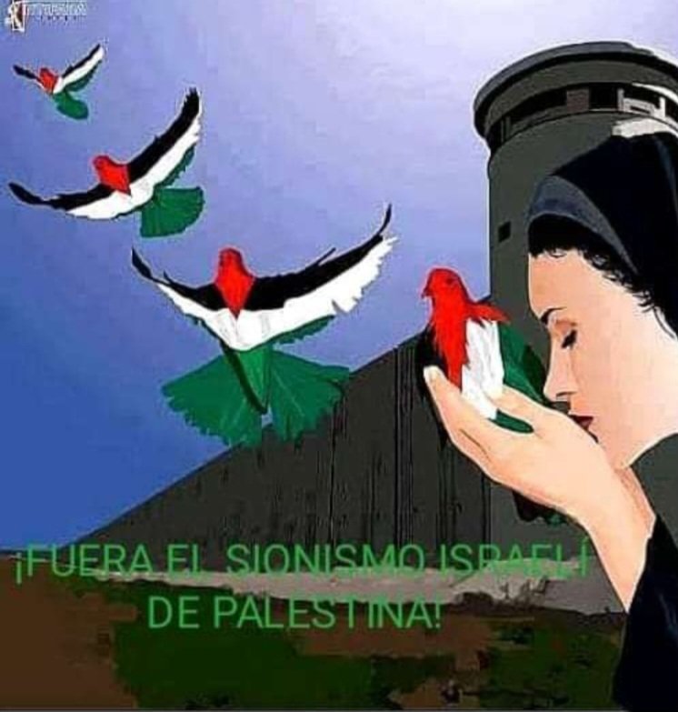 Vicente73977721's tweet photo. ¡Viva Palestina Libre! https://t.co/dbIEKx1hbD