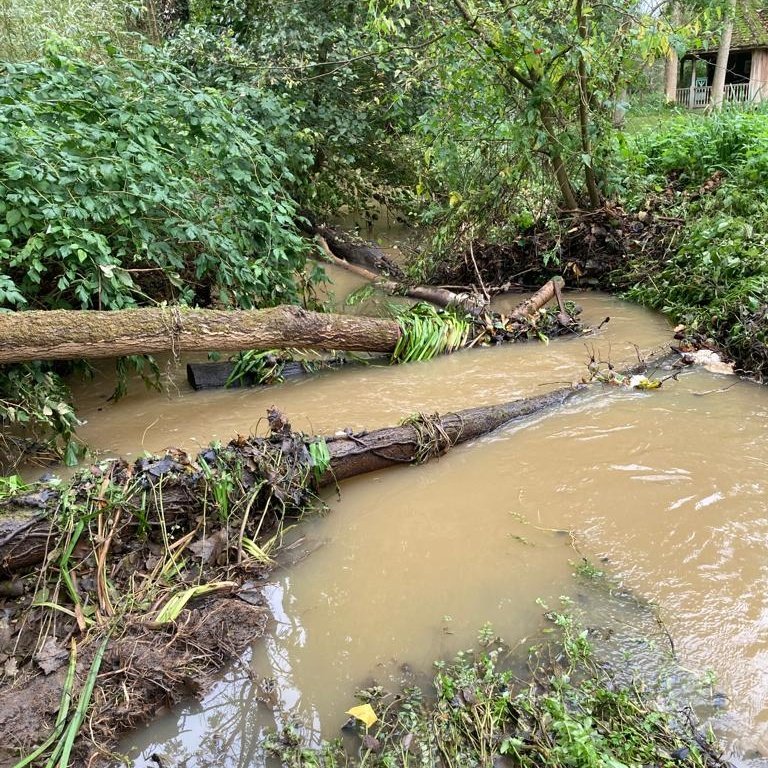 Glaven Conservation tweet media